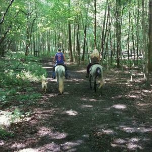 Meet your Posher, Barbara